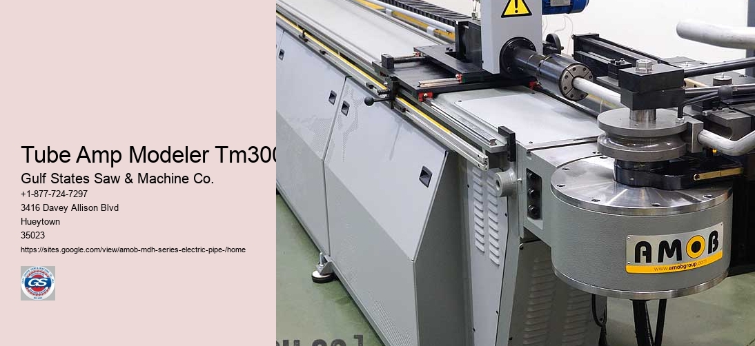 Tube Amp Modeler Tm300