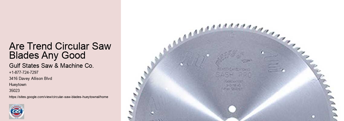 Circular Saw Blade Guard