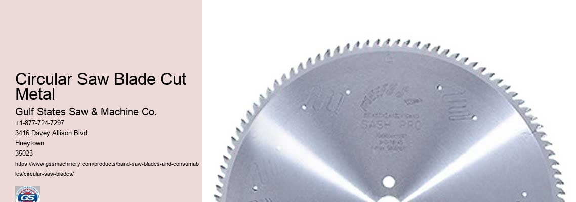 Circular Saw Blade Protector