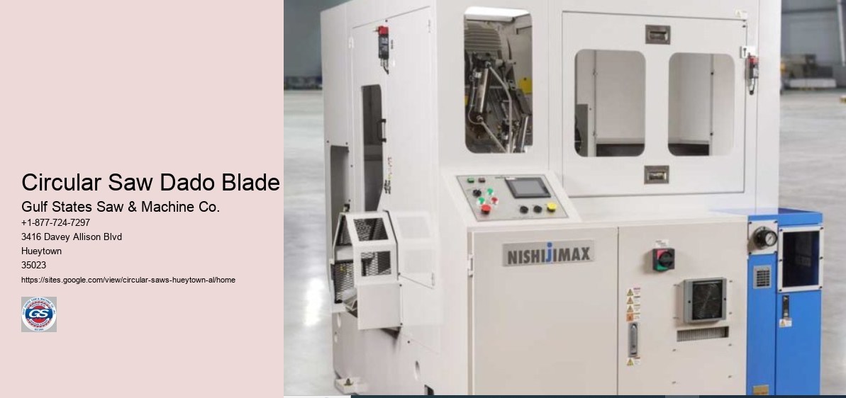 Circular Saw Dado Blade