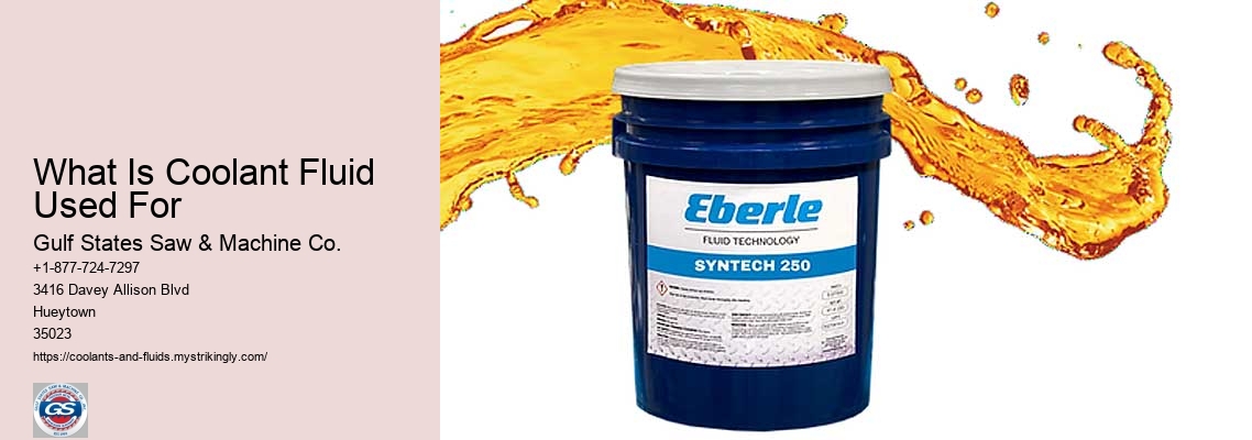 High To Automotive Care And Maintenance