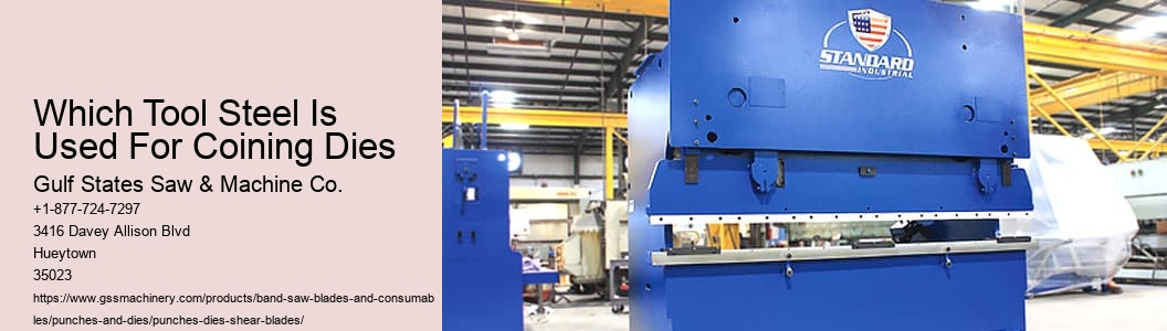 Press Brake Punch